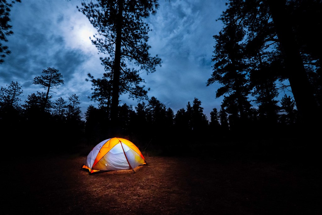 An orange tent glowing from within among dark pine silhouettes under a dusk sky