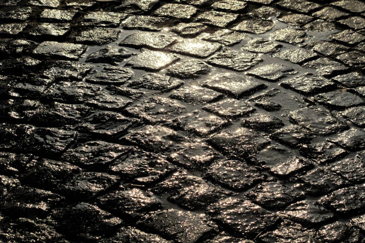 Cobblestone surface glistening wet after rain