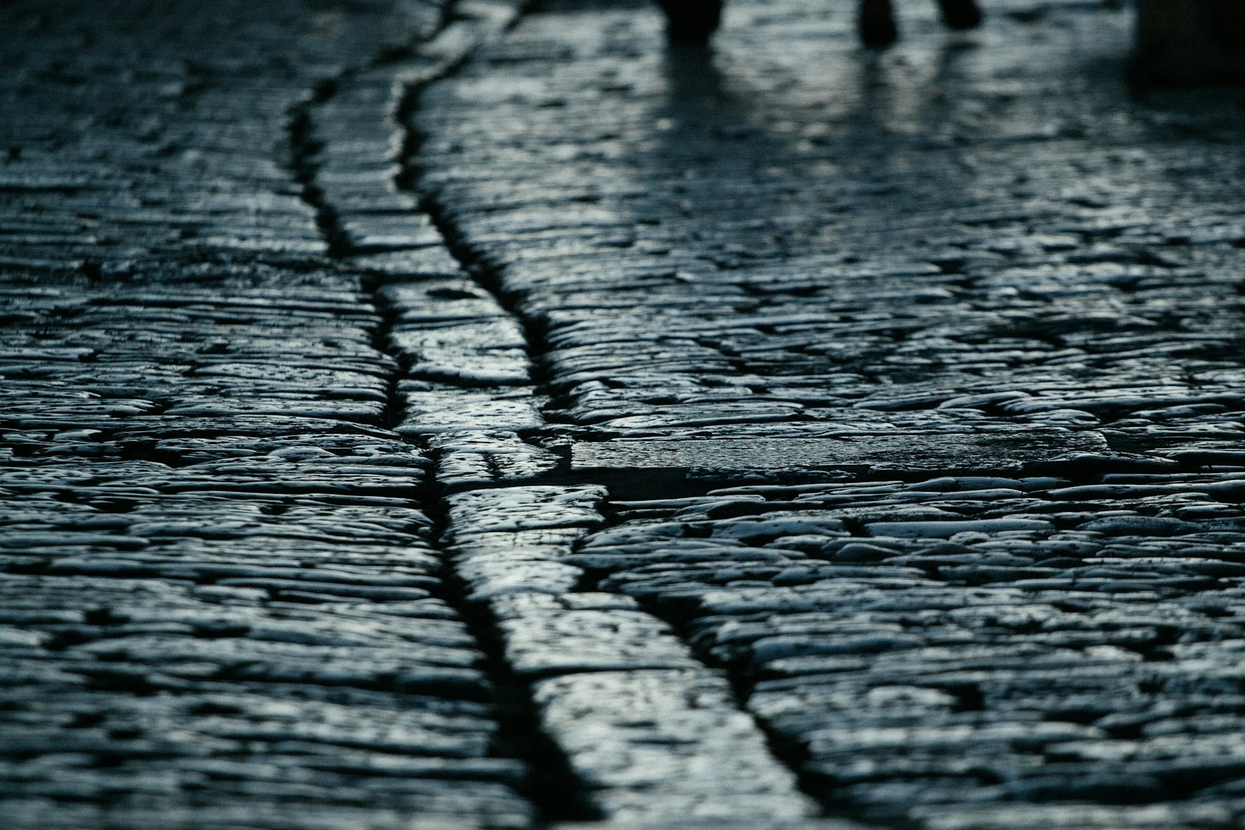 Wet stone paving steps on a beach town, algae darkening the joints between slabs